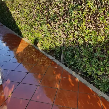 ' Njulella * Migliarello